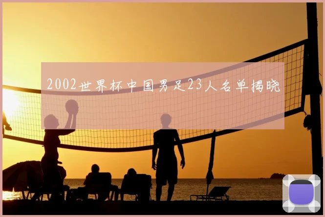 2002世界杯中国男足23人名单揭晓